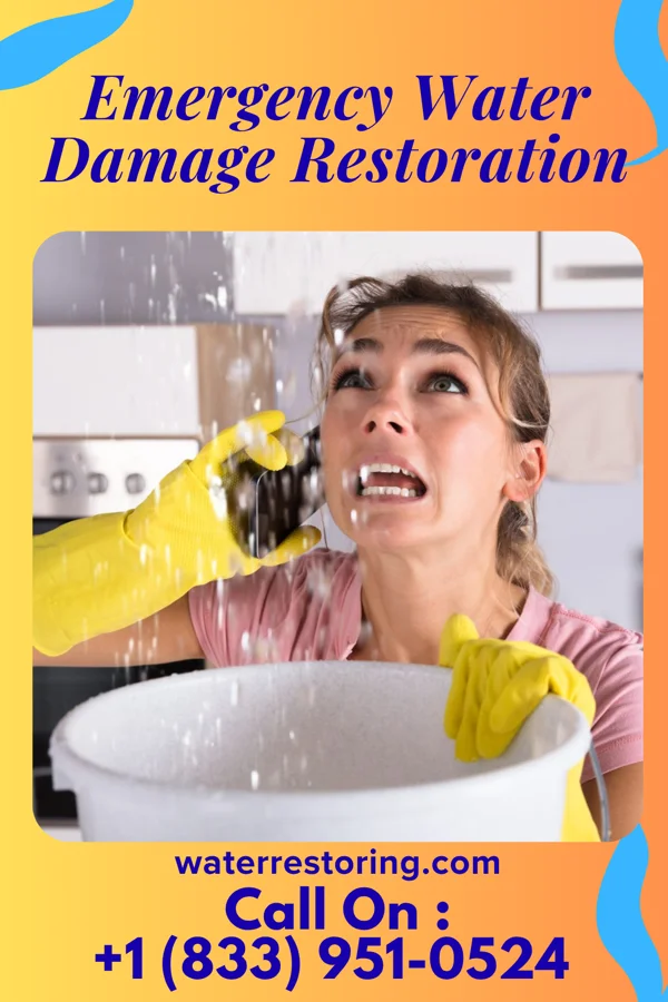 Emergency Water Damage Restoration in Alanson, MI