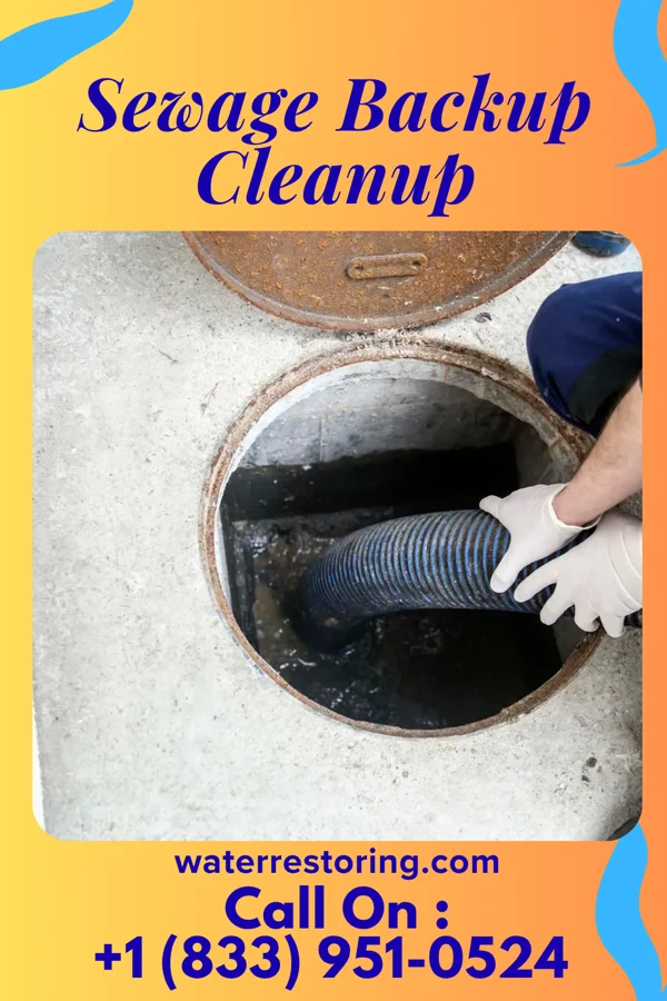 Sewage Backup Cleanup in Alanson, MI